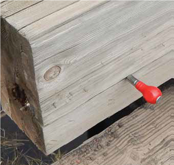 USDA inspection photograph showing an awl at a timber check near a discolored member end